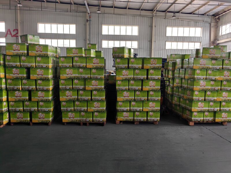 佛山到米易物流專線