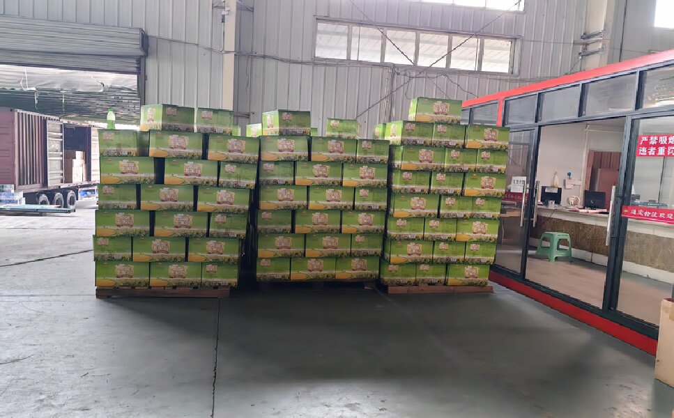 臨沂到射洪貨運公司